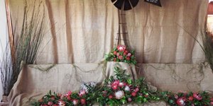 Gansbaai Wonderwerke in Prag en Praal 4